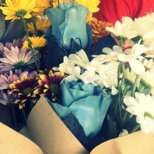 Meet your Posher, Perla